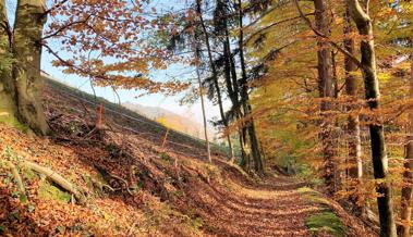 Christliche Sicht: Ein Glaubensbekenntnis Christliche Sicht: Ein Glaubensbekenntnis