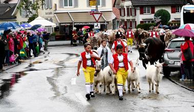 Urchigs Rhintl: Mit allem, was im Stall steht, in die Stadt