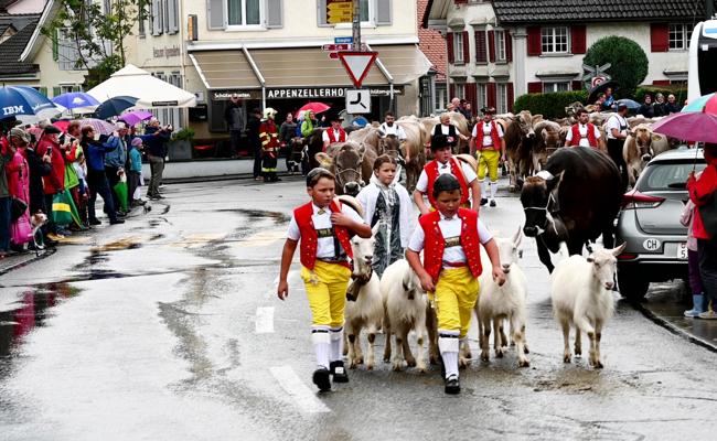 Urchigs Rhintl: Mit allem, was im Stall steht, in die Stadt