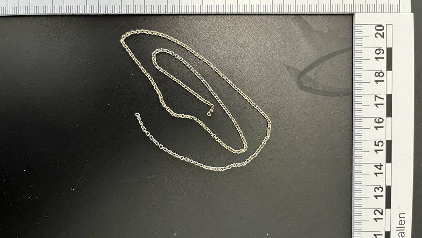 Sicherstellung E 1.28 Kette Sicherstellung E 1.28 Kette