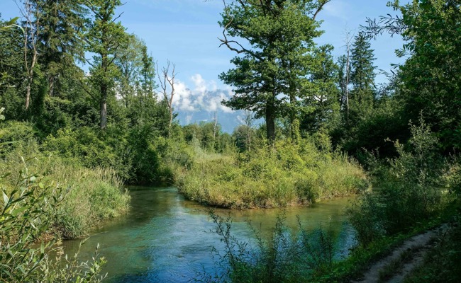 Entdeckungen: Eine kleine Velotour zu fünf Naturbijous im Werdenberg