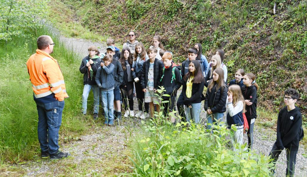 Sandro Hartmann (Leiter Unterhaltsdienste der Gemeinde Balgach) erklärt den Schülerinnen und Schülern der sechsten Klasse, welchen Weg das Wasser vom Wald bis in die Leitungen der Haushalte und Betriebe nimmt.