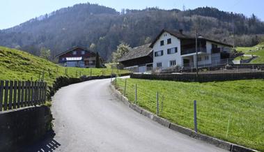 Ein Wolf ist nicht unbedingt einer
