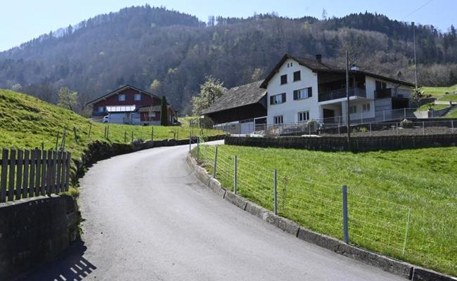 Ein Wolf ist nicht unbedingt einer