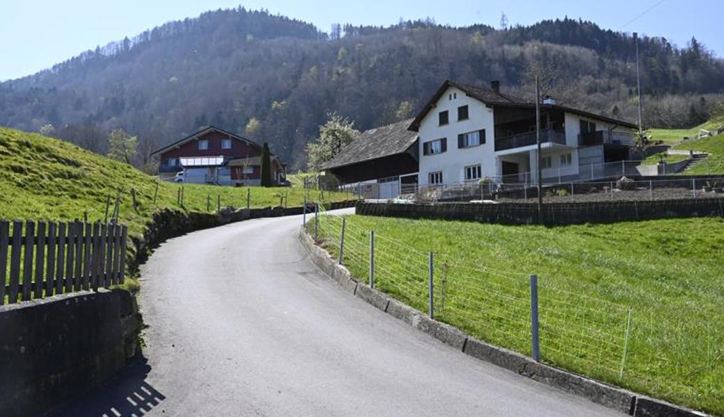 Oberkobelwies: Diese Strasse hinauf lief letzte Woche der vermeintliche Wolf, allerdings nicht tagsüber, sondern in der Nacht.