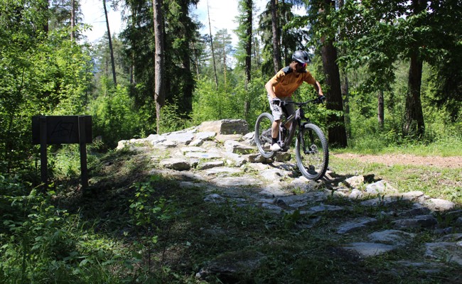 Bewilligung fehlt noch: Nächster Schritt für das Trailcenter im «Sex-Wäldli»