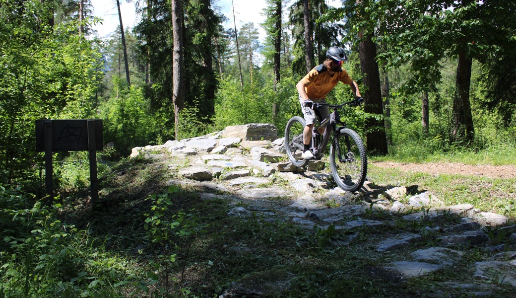 Bewilligung fehlt noch: Nächster Schritt für das Trailcenter im «Sex-Wäldli»