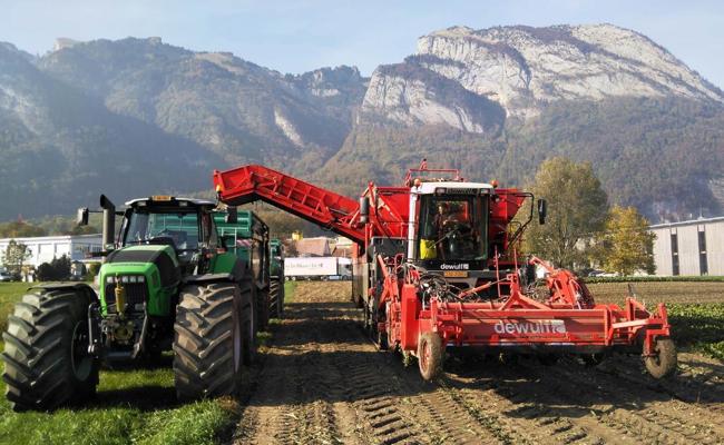 Bauer gegen Anwalt: Gericht gibt Landwirt recht