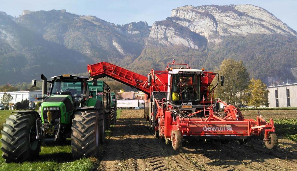 Mit der Bestellung einer Erntemaschine nahm 2010 der mehrere Jahre dauernde Prozess seinen Anfang.