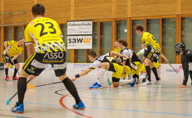 Die Rheintal Gators empfangen den UHC Herisau zum Derby