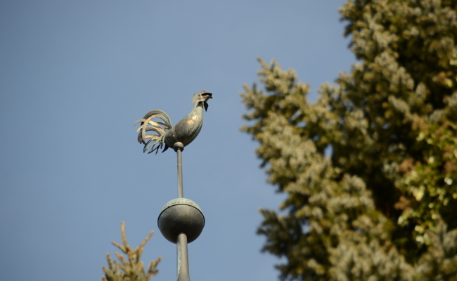 Kirchgemeinden wählen im Frühjahr ihre Behörden für die Amtszeit 2026 bis 2030