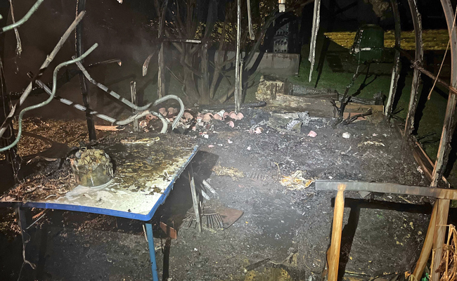 Gewächshaus ausgebrannt: Mutmasslich waren Brandstifter nachts am Werk