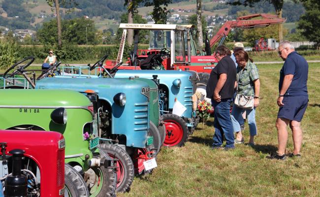 Traktoren-Oldies treffen sich in Balgach