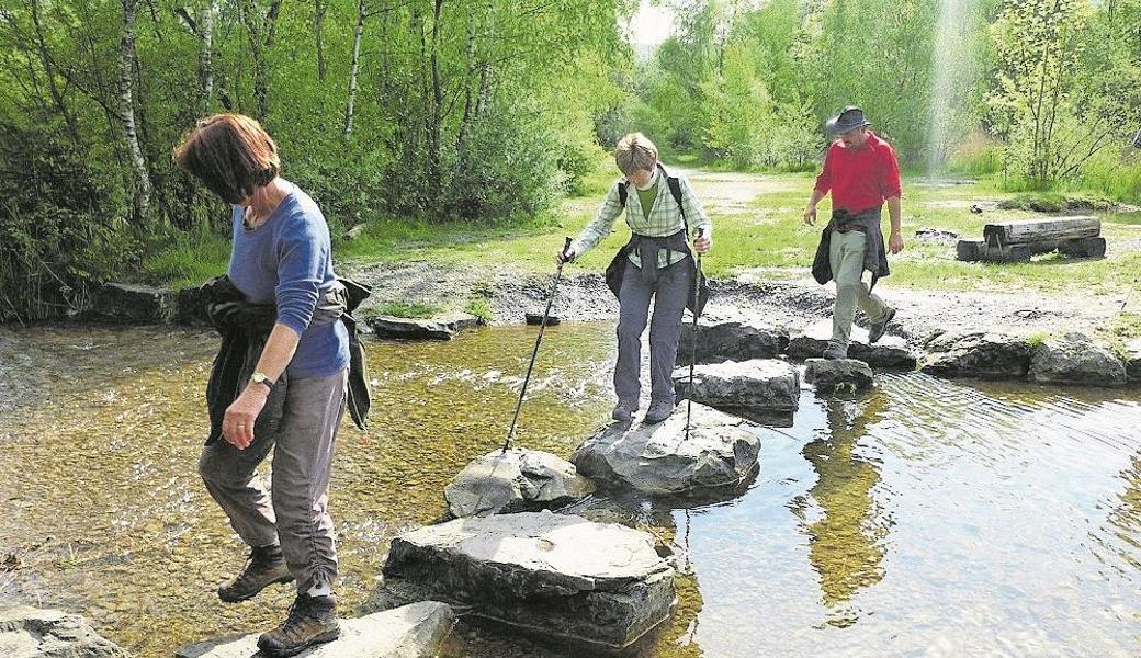 Am Alten Rhein in Diepoldsau führt der Weg über Steine im Wasser.