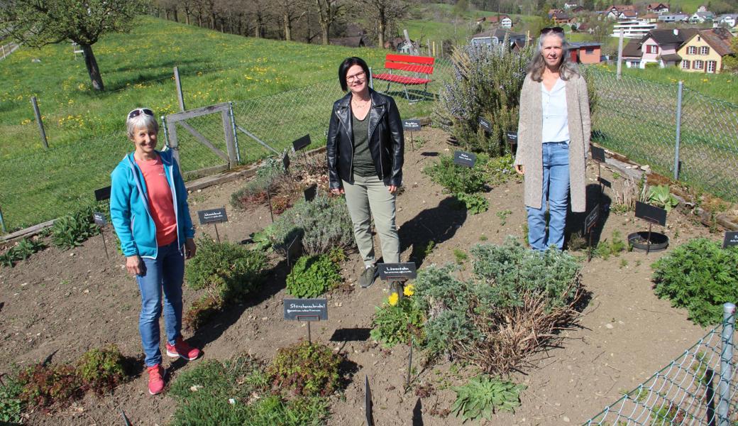 Verena Wolgensinger, Rita Krucker und Rosmarie Bertschi (von links) betreiben gemeinsam das Kräutergärtli am Forst.