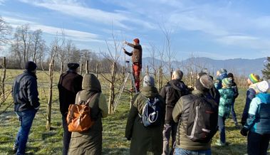 Winterschnittkurs auf dem Rosahof