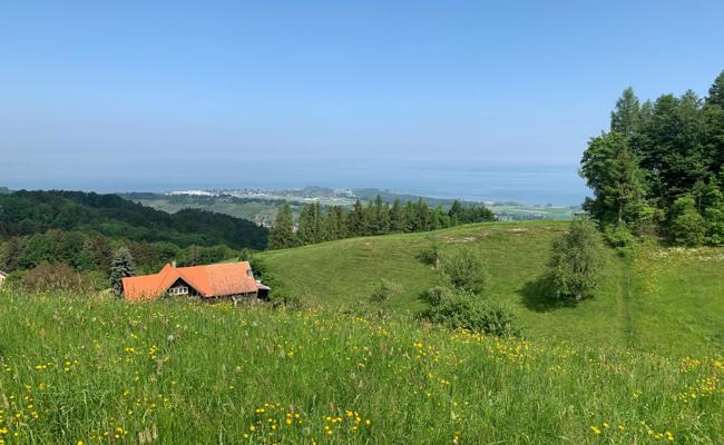 Aus christlicher Sicht: Es gibt ein Leben nach den Ferien