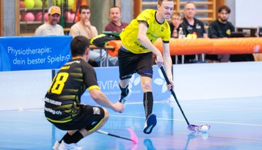 Gators erkämpfen sich gegen den Tabellenzweiten einen 4:3-Sieg