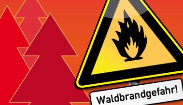 Im ganzen Rheintal besteht eine erhebliche Waldbrandgefahr
