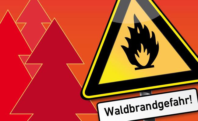 Im ganzen Rheintal besteht eine erhebliche Waldbrandgefahr