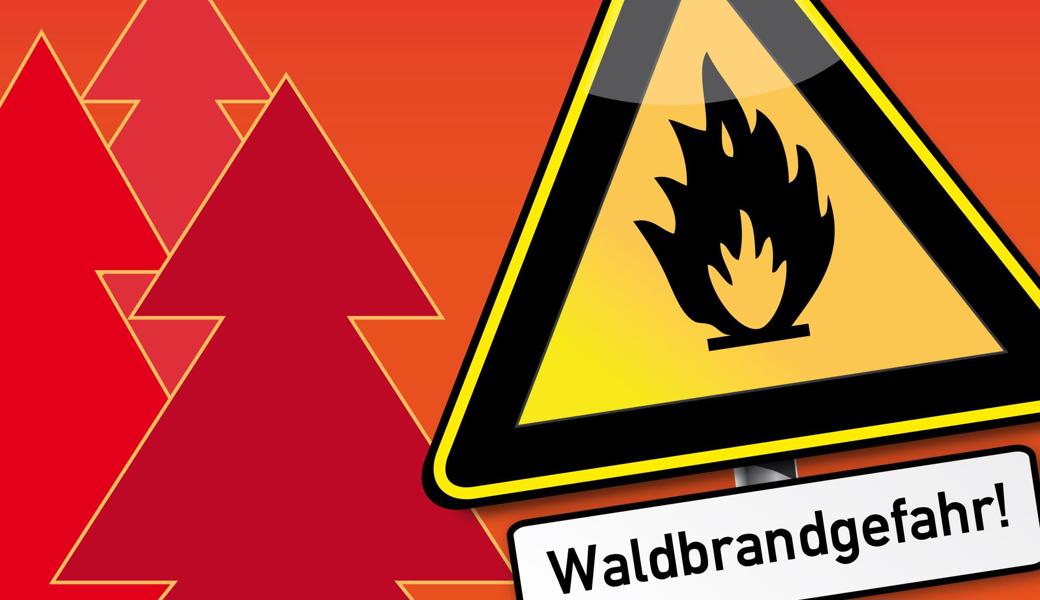 Im ganzen Rheintal besteht eine erhebliche Waldbrandgefahr