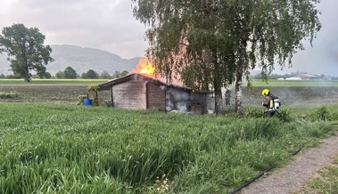 Holzasche im Kompost setzt Schrebergarten in Brand