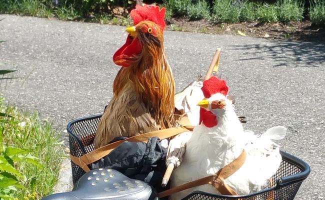 Anerkennung für den Chefredaktor