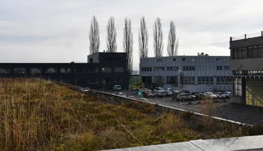 Rega-Heli landet neben der Redaktion