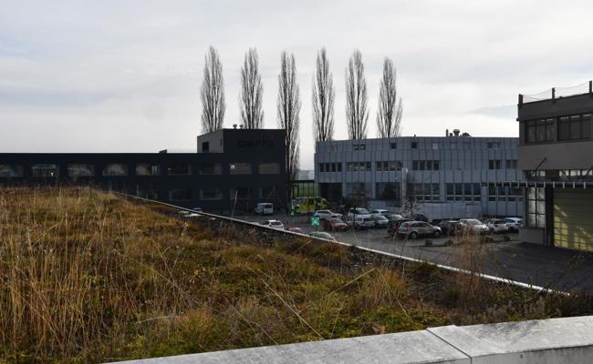 Rega-Heli landet neben der Redaktion