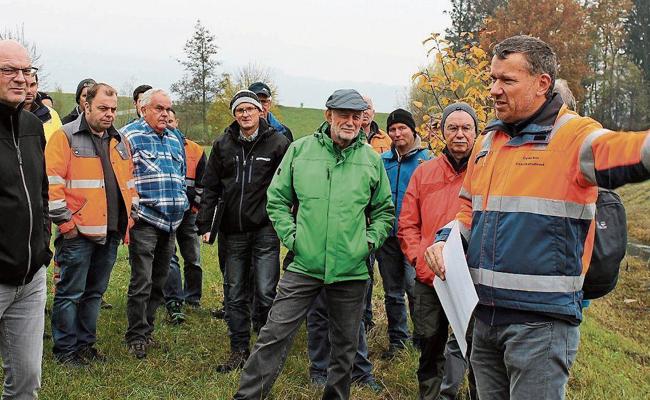 Das Gehölz richtig pflegen gelernt