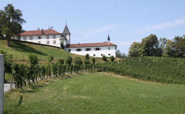 Neuer Schlossherr gesucht