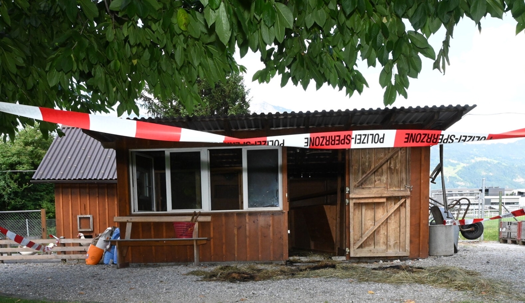 Brand in Stall – Kein Tier zu Schaden gekommen