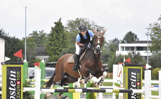 Pferdesporttage mit Springsport, Mini-Challenge und Happy-Horse-Award auf der Rheininsel