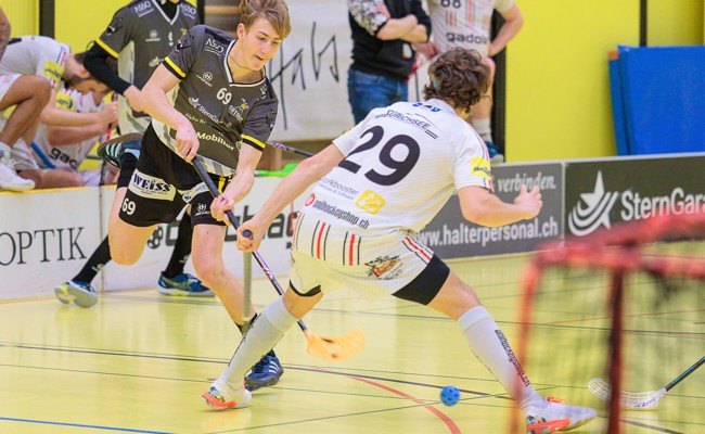 Rheintal Gators zittern weiter um die Playoff-Teilnahme