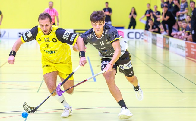 Rheintal Gators starten mit einer Doppelrunde ins Playoff-Viertelfinal