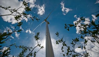 Mehr, als nur Strom liefern: Windräder könnten die Rheintaler Wirtschaft ankurbeln