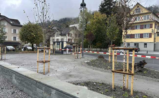 Es wird gepflanzt: Ein Mini-Park entsteht auf der Rössliwiese