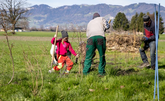 Mehr Natur: Gemeinsam über 100 Meter artenreiche Hecken gepflanzt