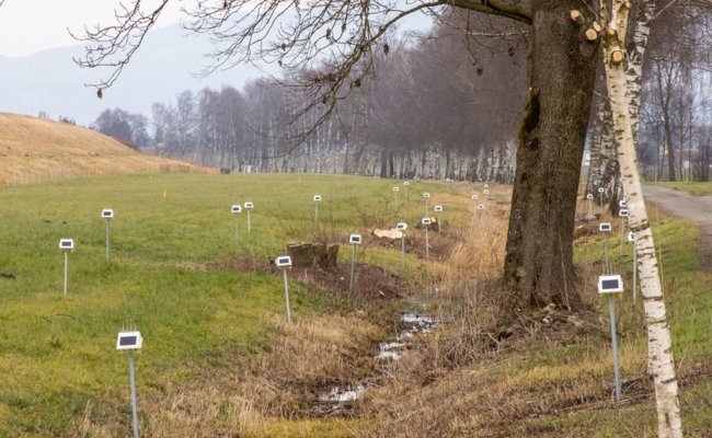 Ausserirdische Armee am Rheindamm? Dazu dienen die Geräte, die wie Aliens aussehen