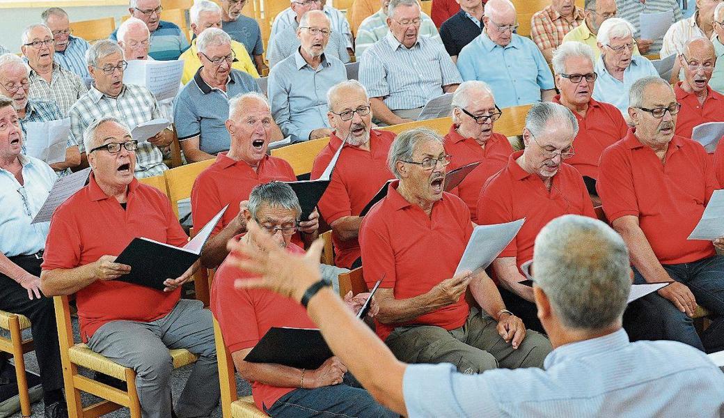 Aus voller Kehle, aus tiefstem Herzen: 500 Sängerinnen und Sänger aus 24 Chören treten am Samstag, 16. Juni, am Rheintaler Gesangsfest zum Liederwettstreit an.
