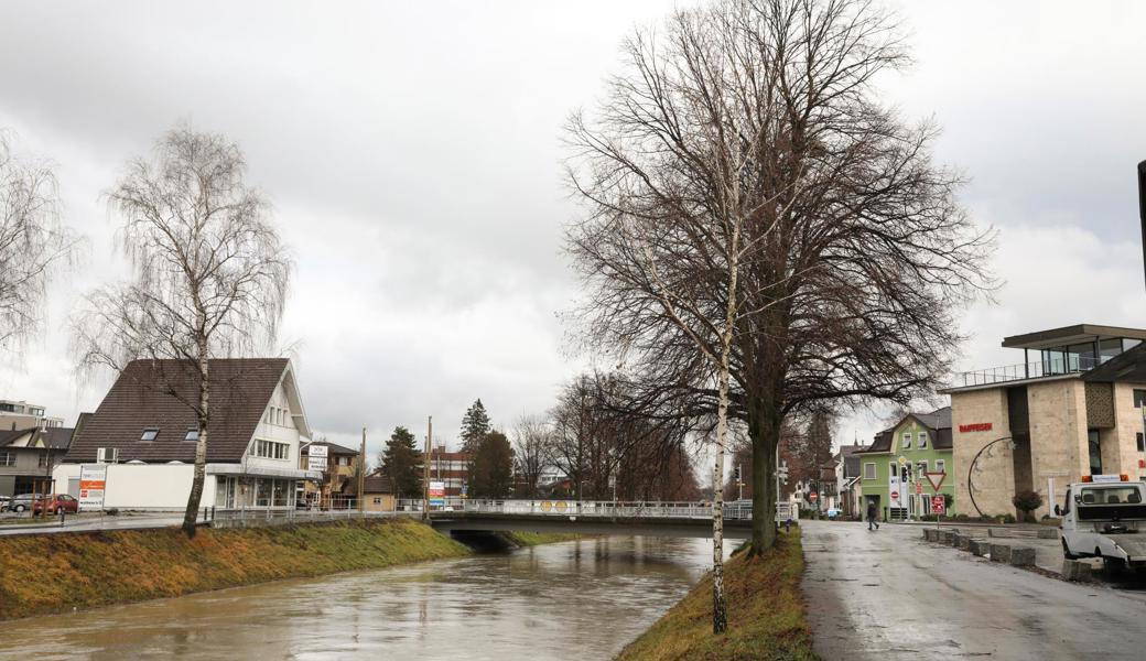 Der Kanal in Widnau.