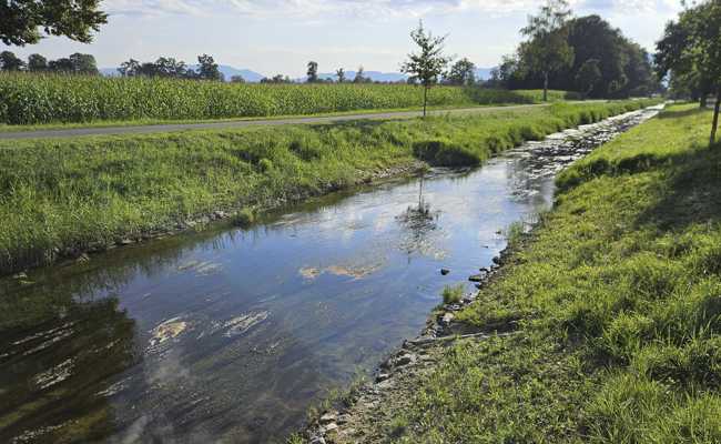 Rietaach wird durch das Hochwasserschutzprojekt zum Leben erweckt