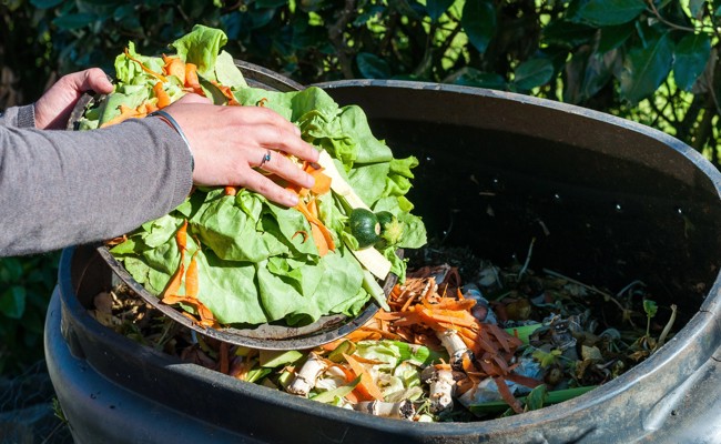 Selber essen statt Ameisen züchten: Warum Food Waste unangenehme Nebeneffekte haben kann