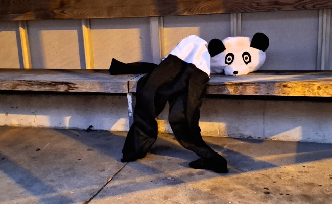 Adieu, Fasnacht: Für den Panda endete die Fasnacht traurig, andere freuen sich auf die Verlängerung