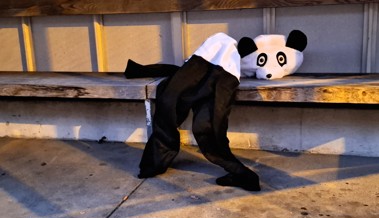 Adieu, Fasnacht: Für den Panda endete die Fasnacht traurig, andere freuen sich auf die Verlängerung Adieu, Fasnacht: Für den Panda endete die Fasnacht traurig, andere freuen sich auf die Verlängerung