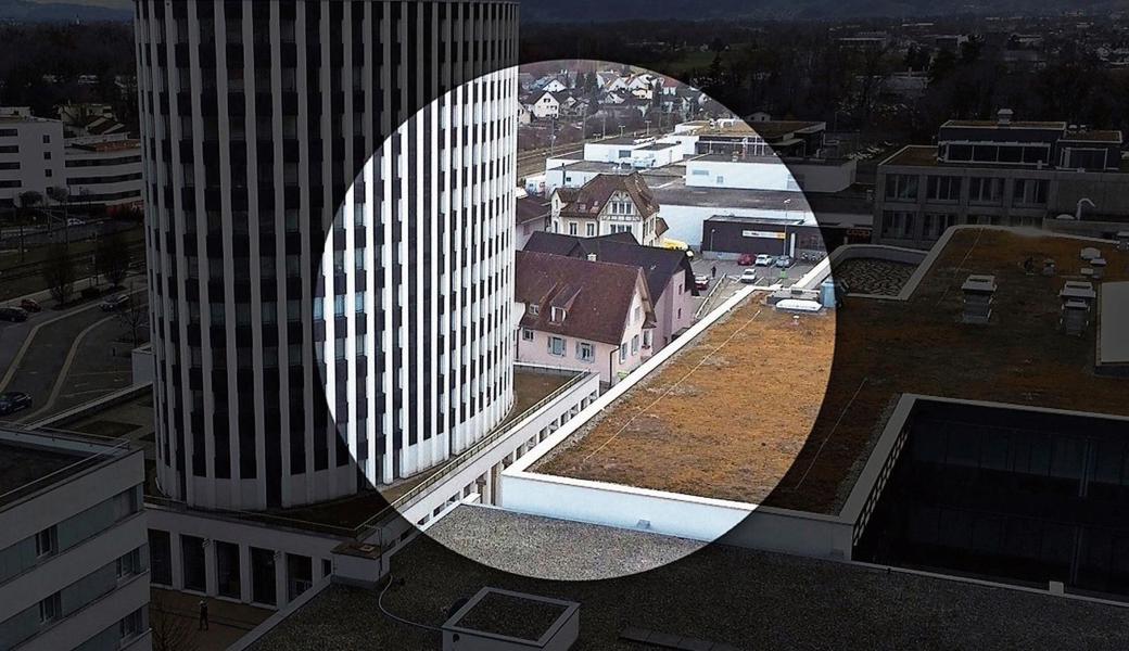 Entgegen der landläufigen Meinung zeigt uns das Internet nicht die ganze weite Welt.