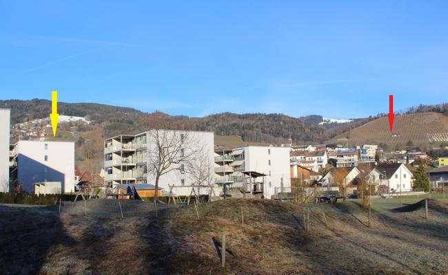 Kündigungen wegen Antenne - Umfrage geplant