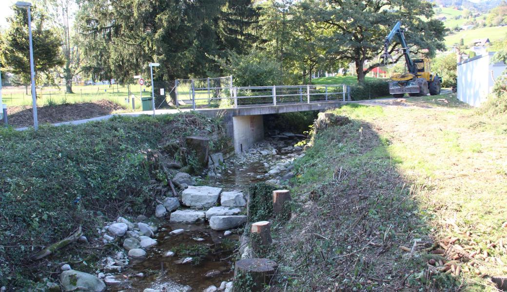 Auch weiter unten wurden die Bäume am Ufer entfernt.