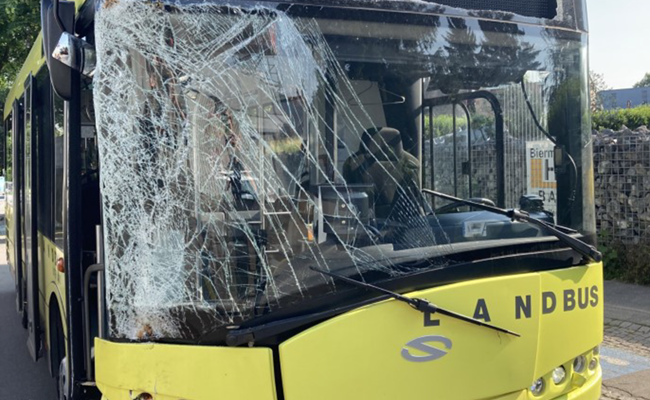 Am Billettautomat hantiert: Bus voller Schüler crasht in Baum