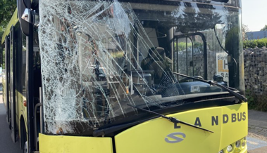 Am Billettautomat hantiert: Bus voller Schüler crasht in Baum